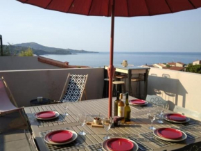 Appartement neuf climatisé, terrasse, WIFI, Banyuls-sur-Mer - FR-1-309-208